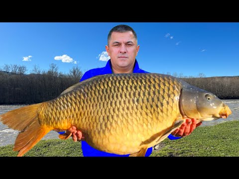 Видео: ГОТОВИМ РЫБУ в КАЗАНЕ на КОСТРЕ / 2 ИКРЯНЫХ САЗАНА НА УЖИН