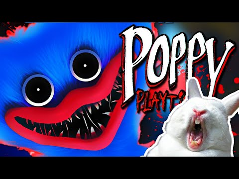Видео: Poppy Playtime - Мой друг Хадид 👀