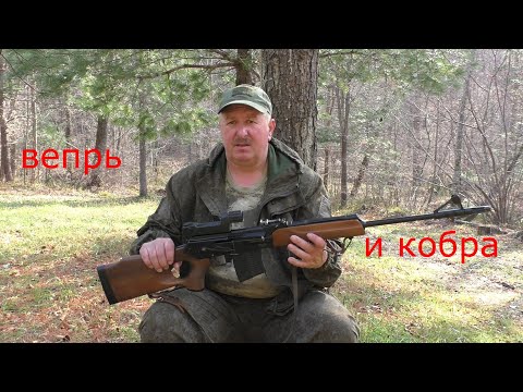 Видео: КАРАБИН ВЕПРЬ ВПО-123 7,62 x 54R И КОЛЛИМАТОР КОБРА \ ОБЗОР \ ПРИСТРЕЛКА ПРИЦЕЛА\СЕЗОН 2021/22