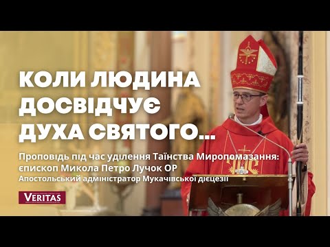 Видео: Коли людина досвідчує Духа Святого… Проповідь: єпископ Микола Петро Лучок ОР