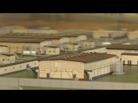 Видео: Уникальную перепелиную ферму строят в Солигорском районе