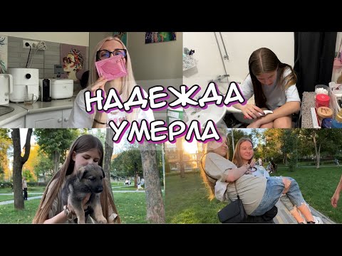 Видео: Спалила лицо. Разочарование. Новинки для волос. Кира бреет усы? Ставят перед фактом.