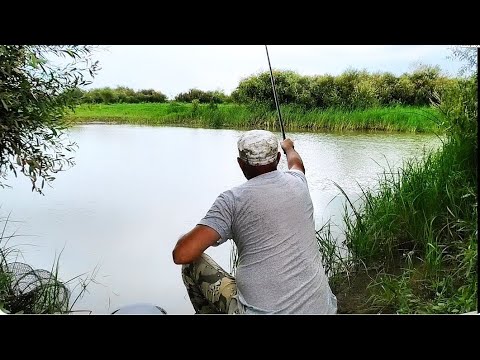 Видео: 1000 ЛЕТ Я ТАК НЕ РЫБАЧИЛ ПРЯМ ДУШУ ОТВЁЛ .РЫБАЛКА НА УДОЧКУ .