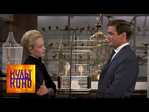 Видео: Кирилл Разлогов о фильме "Птицы" / Культ кино с Кириллом Разлоговым