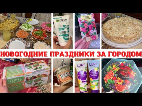 Видео: НОВОГОДНИЕ ПРАЗДНИКИ ЗА ГОРОДОМ😍 НОВОГОДНИЙ СТОЛ✅ ПОСАДИЛИ РАССАДУ ГЕРАНИ🔥 по МАГАЗИНАМ🤩 ПОКУПКИ