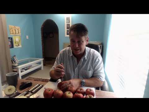 Видео: Определение индекса зрелости яблок