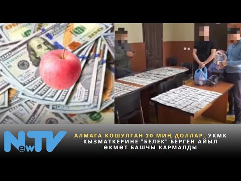 Видео: Алмага кошулган 20 миң доллар. УКМК кызматкерине "белек" берген айыл өкмөт башчы кармалды