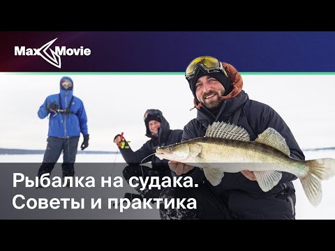 Видео: Рыбалка на судака. Советы и практика.