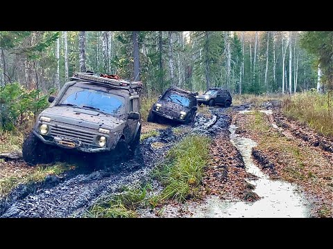 Видео: Экспедиция на Кулай 2022 место ссылки репрессированных в тайге. Часть 2