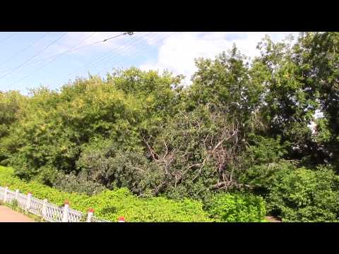 Видео: Нижний Новгород-Гороховец на ЭД9М-0134