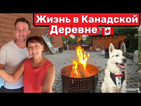 Видео: Откачиваем Мёд Золотарника// жизнь в Канаде ￼