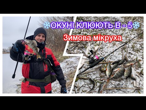 Видео: НА ЩО клює ОКУНЬ ВЗИМКУ❄️зимовий мікро джиг