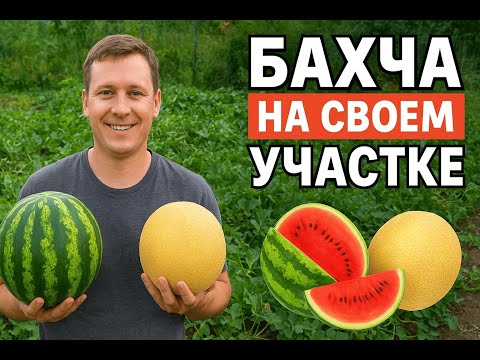 Видео: Моя бахча: от семечка до сочного плода