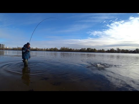 Видео: Риболовля на затоках ДНІПРА 🐟🐟🐟