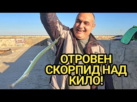 Видео: Направо ги разбих рибите! Супер риболов на Калкан, Скорпид, Татар кая, Зарган и Зеленушка!