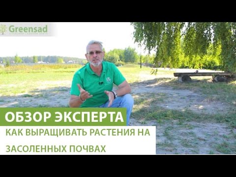 Видео: Как выращивать растения на засоленных почвах