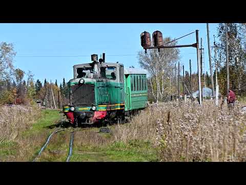 Видео: Алапаевская УЖД. Осень