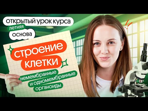 Видео: Строение клетки: немембранные и одномембранные органоиды