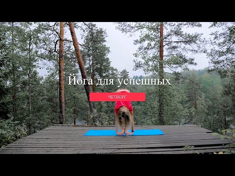 Видео: Йога для успешных. Четверг.Сентябрь