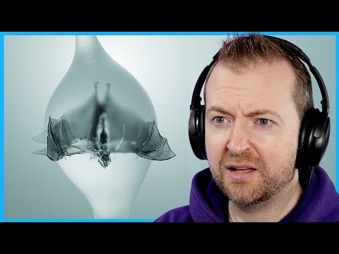 Видео: Этот необработанный альбом невероятен