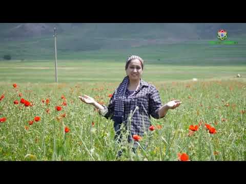 Видео: Куҳи Эмом Аскара -дар ноҳияи Шамсиддини Шоҳин