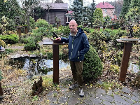 Видео: Сад бонсай в конце октября