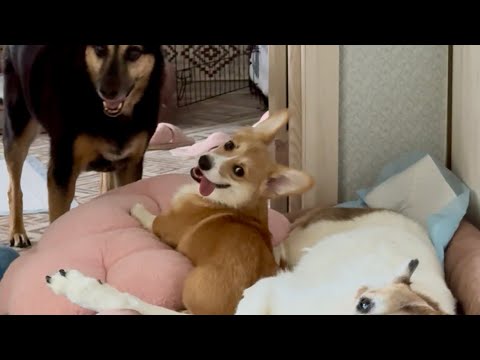 Видео: Мира,Люся,Фёдор и мы❤️ 