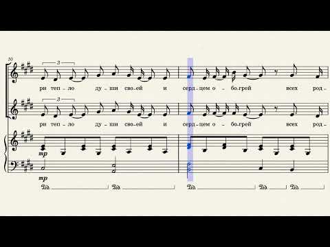 Видео: Новый год - Автор музыки и слов Екатерина Заборонок