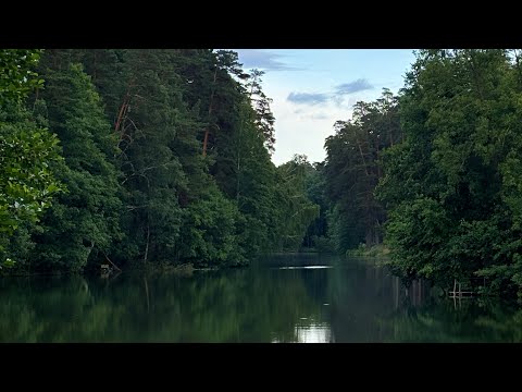 Видео: VLOG из Тамбова нарезочка моментов 💞💞💞💞Уехала в отпуск 🕊️❤️🍹