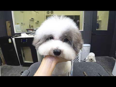 Видео: Готов?