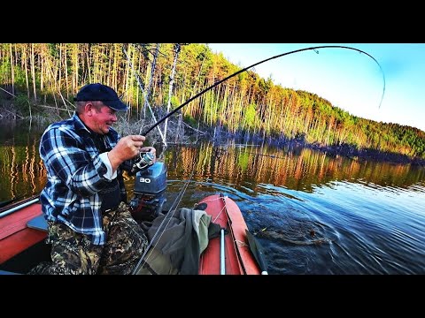Видео: ЗА ЩУКОЙ В ЗАТОПЛЕННЫЙ ЛЕС/FOR PIKE IN A FLOODED FOREST!!