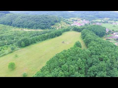 Видео: Закарпатская область, Свалявский район, с. Керецки 14.06.2016