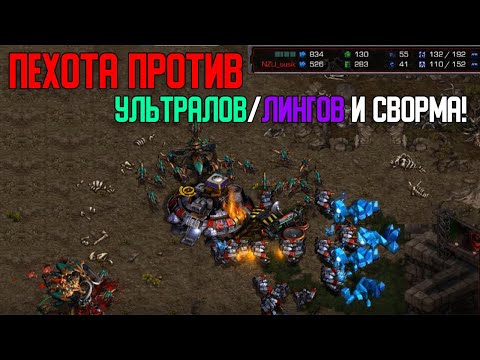 Видео: Старкрафт Т VS Z зерг не даёт нормально пехоте жить!
