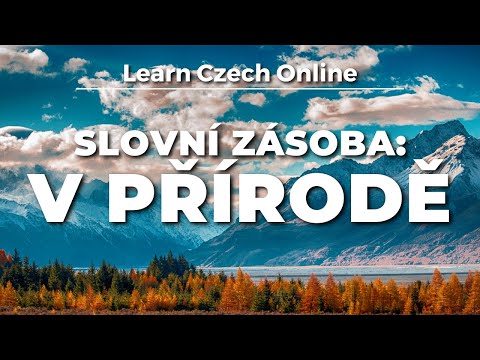 Видео: Чешская лексика: На природе (A2+)