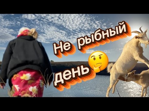 Видео: Не клевало, но мы не унывали: рыбалка и наши реакции!