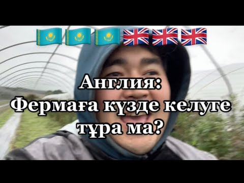 Видео: Англия: Фермадағы маусымның соңы. Күздегі жұмыстар | Англия: Конец сезона на ферме. Осенние работы.