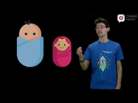 Видео: Кого в мире больше   мужчин или женщин