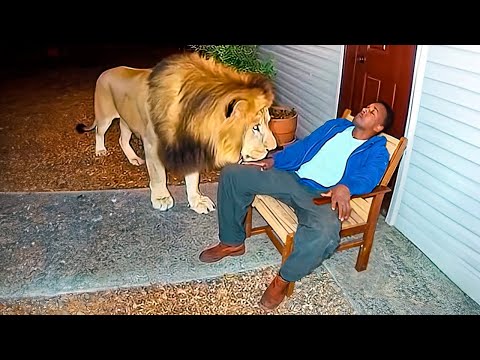 Видео: Это действительно было снято на камеру