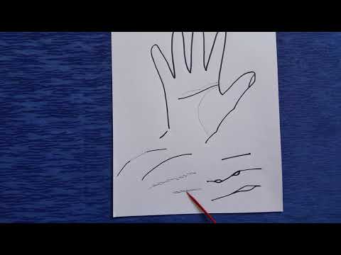 Видео: Характерные особенности линии головы. Часть 3. Хиромантия