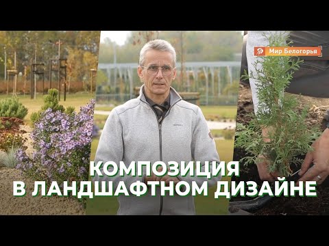 Видео: Ландшафтная композиция: мастер-класс
