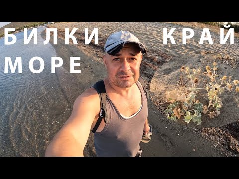 Видео: БИЛКИ КРАЙ МОРЕТО MORE GREEK HERBS #foraging #herbs #edibleplants #spices