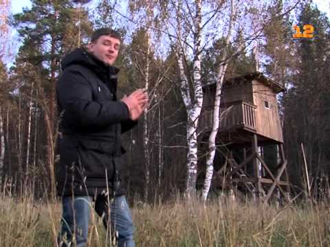 Видео: Рубрика «Путеводитель по Марий Эл» - заповедник «Большая Кокшага»