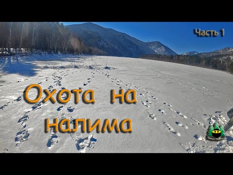 Видео: Охота на налима (часть 1)