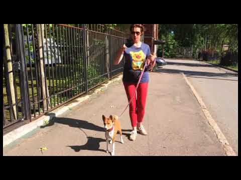 Видео: Выдержка урок 2