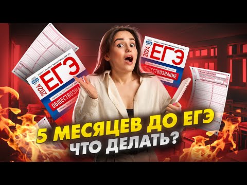 Видео: Как подготовиться к ЕГЭ по обществознанию за 5 месяцев? Реальный план на высокий балл! | Умскул