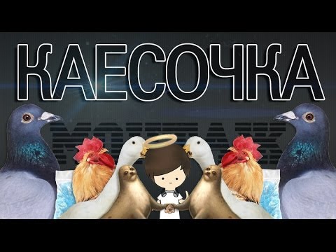 Видео: КАЕСОСОЧКА
