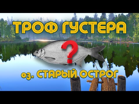 Видео: Трофейная Густера Ӏ Старый Острог Ӏ РР4