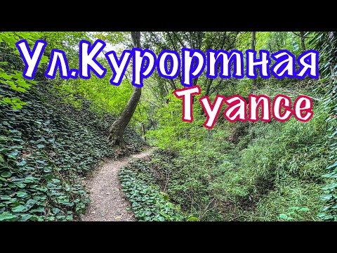 Видео: Туапсе. Спуск к морю по ул.Курортная.