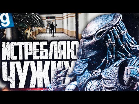 Видео: ПРОВОЖУ ДЕЗИНФЕКЦИЮ ОТ ЧУЖОГО! ИГРАЮ ЗА ОБРАЗЕЦ ХИЩНИК! ► Garry's Mod SCP RP [Гаррис Мод СЦП РП]