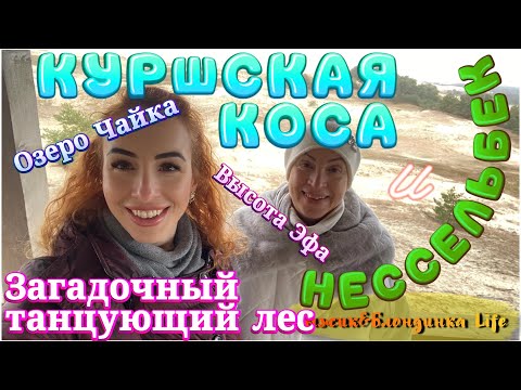 Видео: Невероятная КУРШСКАЯ КОСА и мифы танцующего леса - море эмоций🤩Замок НЕССЕЛЬБЕК Ужасы Музея пыток😵